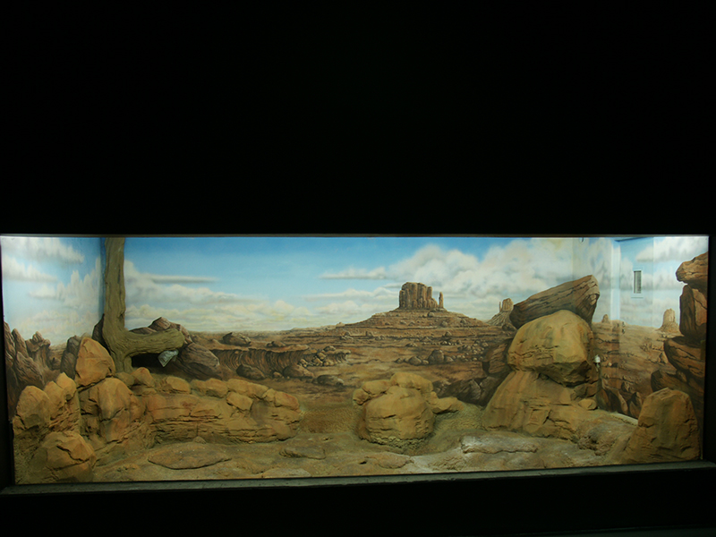 10-theatermalerei-diorama.jpg